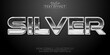 © DesignVectX - Silver text, shiny silver color style editable text effect