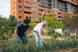 © Pedro Merino/Stocksy - Mature men farming in a community urban garden.