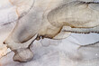 © Clive Watts/Stocksy - A detail from an alcohol ink painting.