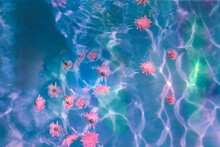 Pink Flowers Over Blue Pool