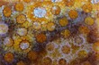 © Pansfun Images/Stocksy - coral skeleton fossil crystal jade agate texture detail