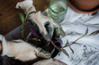 © EASY 2 SHOOT/Stocksy - Hands of a person doing home gardening