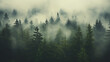 Fog hanging over a forest of trees