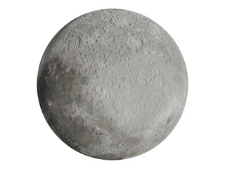 Wall Mural - full moon closeup 004