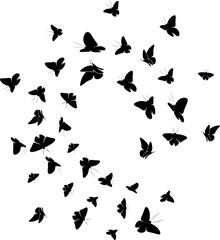 fluttering butterfly silhouette design illustration