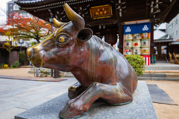 Fukuoka, Japan - Nov 20 2022: Goshingyu, or the sacred ox at Kushida shrine in Hakata old town. It is believed that rubbing its head makes a person smarter