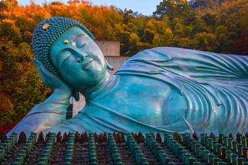 Sticker - Fukuoka, Japan - Nov 21 2022: Nanzoin Temple in Fukuoka is home to a huge statue of the Reclining Buddha (Nehanzo) which claims to be the largest bronze statue in the world.