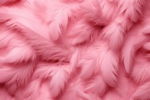 Beautiful Pink Feathers As The Background