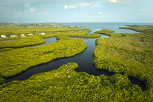 Aerial View Of Florida Wetlands With Green Vegetation Between Ocean Water Inlets. Natural Habitat Of Many Tropical Species
