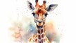 © Kateryna Kordubailo - Watercolor illustration of giraffe. Generative AI