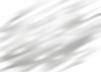 Aufkleber - Leaves shadow overlay, isolated Branches leaves .