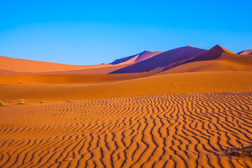 Sticker - The dunes and sandy orange waves