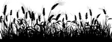 Field With Cereals, Grass And Wild Herbs. Vector Isolated Silhouette Of Grain Plants Meadow.  Horizontal Border.