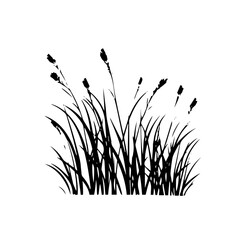 grass silhouette illustration 