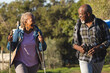 © Wavebreak Media - Happy senior african american couple with backpacks walking in sunny nature