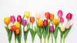 © Serhii - Colorful Spring Flowers Bouquet. Beautiful Composition of Tulips for Mother's Day & Women's Day Concept on White Background with Copy Space. Generative AI