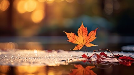 Wall Mural -  close up maple leaves on ground with sunlight and bokeh, peaceful Autumn and fall season foliage wallpaper background, Generative Ai