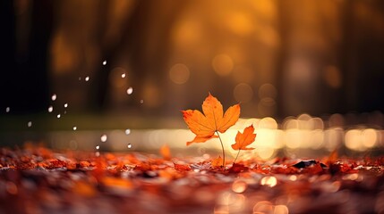 Wall Mural -  close up maple leaves on ground with sunlight and bokeh, peaceful Autumn and fall season foliage wallpaper background, Generative Ai