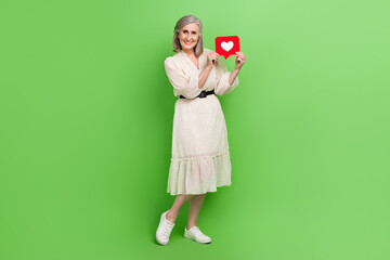 Sticker - Full length photo of adorable cheerful woman dressed beige outfit rising notification card isolated green color background