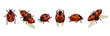 Set of watercolor insects, ladybugs.Vector graphics.