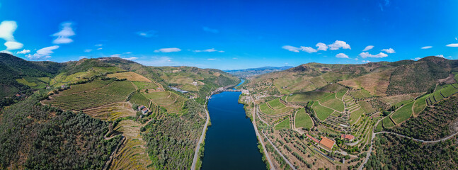 Wall Mural - Aerial view of Vineyards on the banks of the Douro river in Portugal near the village of Pinhão - Porto wine Production