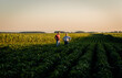 © Zoran Zeremski - Two farmers standing in a field examining soy crop.