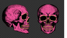 Pink Neon Human Skull In Woodcut Style. Vector Engraving Sketch Illustration For Tattoo And Print Design