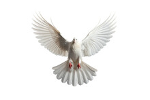 Dove Isolated On Transparent Background,  Generative Ai