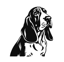 Vector Isolated One Single Sitting Basset Hound Dog Head Front View Black And White Bw Two Colors Silhouette. Template For Laser Engraving Or Stencil, Print For T Shirt	