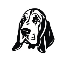 Vector Isolated One Single Sitting Basset Hound Dog Head Front View Black And White Bw Two Colors Silhouette. Template For Laser Engraving Or Stencil, Print For T Shirt	