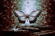 Abstract low color illustration of butterfly in surreal environment, made with generative ai