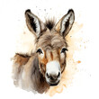 Portrait of a donkey in watercolour style. Digital illustration