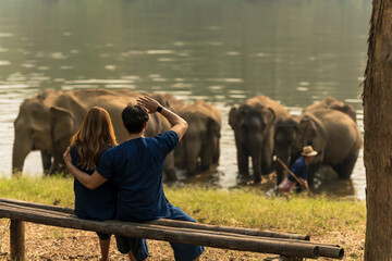 back view tourist couples watching asian elephant bathing in river, people with elephant