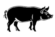 A Pigs Outline. A Black And White Pig Silhouette Illustration. A Silhouette Of A Pig Viewed From The Side