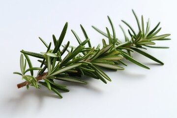 Poster - Fresh rosemary that is dry, clear, and on a white backdrop. rosemary, balsamic vinegar, and olive oil. accentuate the spice