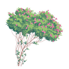 Wall Mural - Simple Old  Bush with Pink Roses
