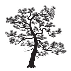 Wall Mural - Silhouette of Old Japanese Pine Tree