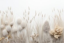 Wheat, Dried Grasses And Pampass Grass In Soft Neutral Pallette On A White Background For Graphic Resource