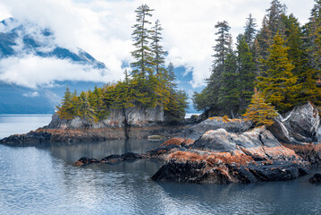 Wall Mural - View of island from Kenai Fjords National Park Cruise tour in Alaska, USA.