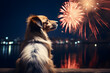 dog watching fireworks over a lake at night