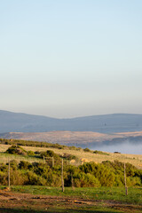 Wall Mural - Vertical image of green countryside and agricultural fields on sunny day