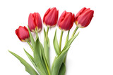 Fototapeta Tulipany - red tulips isolated on white generative AI