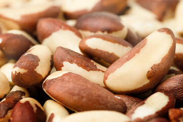 Wall Mural - background of shelled brazil nuts, front view