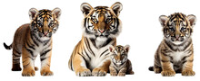 Tiger Family Set. A Small Tiger Cub Is Standing And Sitting. Mother Tiger And Little Tiger Lie Together. Isolated On Transparent Background. KI.