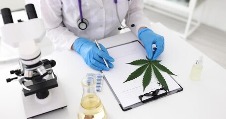 Canvas Print - Doctor prescribes CBD for pain relief and holds marijuana leaf. Doc holds medical marijuana in hands, offers medical marijuana and legal light drugs to patient