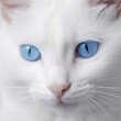 white cat with blue eyes, Generative AI
