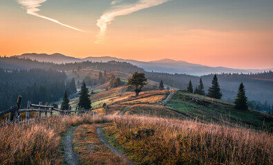 Aufkleber - Mountain autumn landscape. Grassy road to the mountains hills during sunset. Nature background