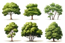 Collection Of Big Green Trees Isolated On White Background. Generative Ai