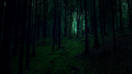 Wall Mural - Slow movement in dark green scary forest landscape.