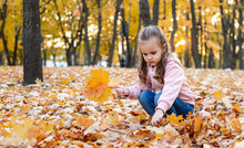 Positive Little Girl Playing In The Autumn Park. Happy Emotional Child Catches Maple Leaves. Active Holiday In Autumn. Leaf Fall